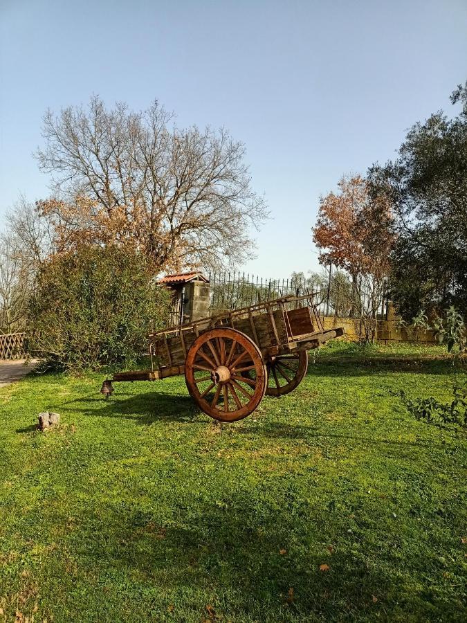 Rifugio Di Campagna Villa Vitorchiano Kültér fotó